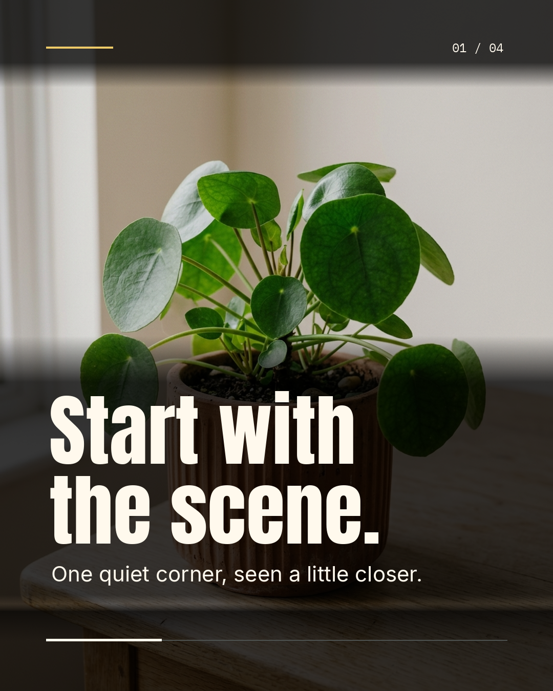 Photo Zoom carousel template preview